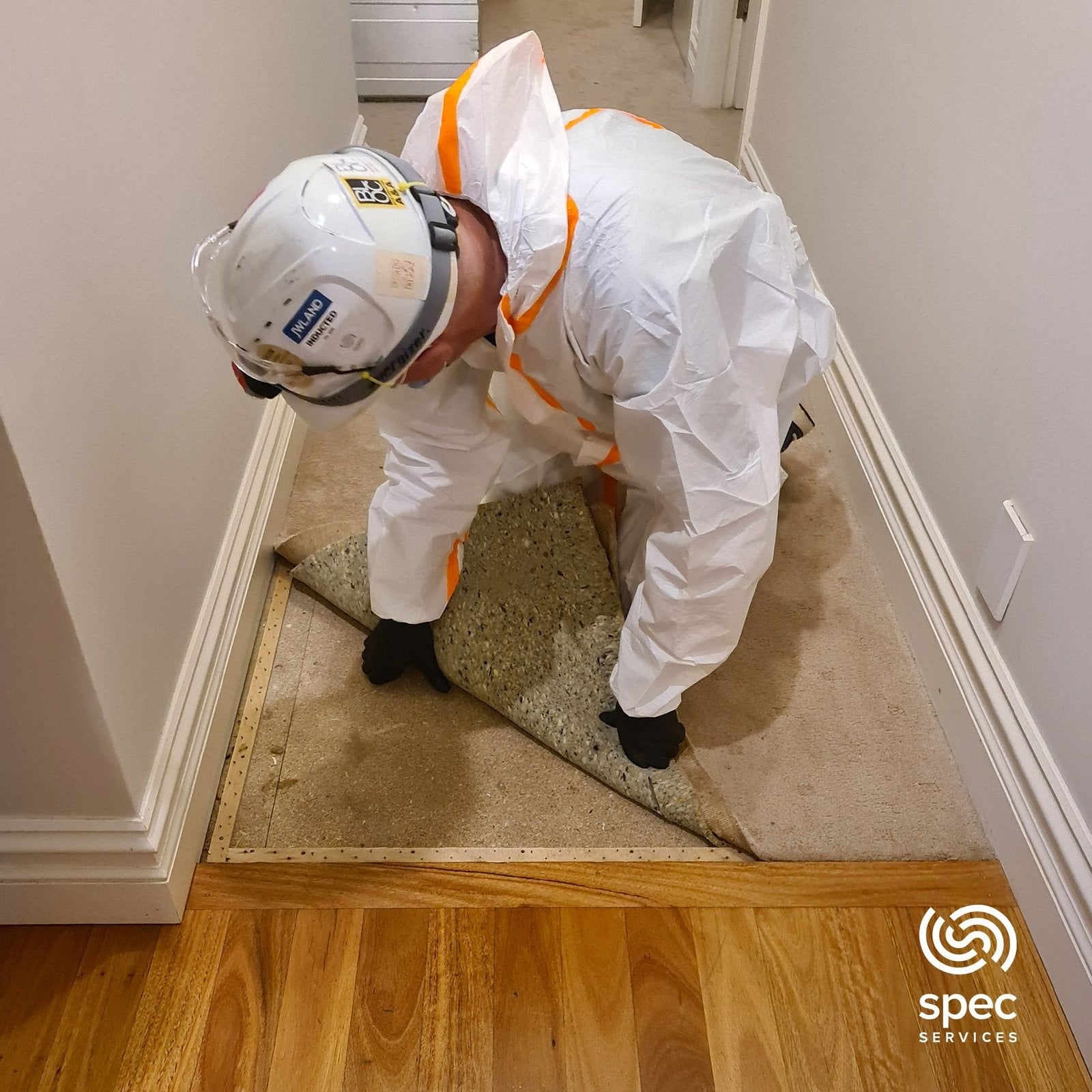 Flooring being decontaminated in a residential crime scene cleanup setting