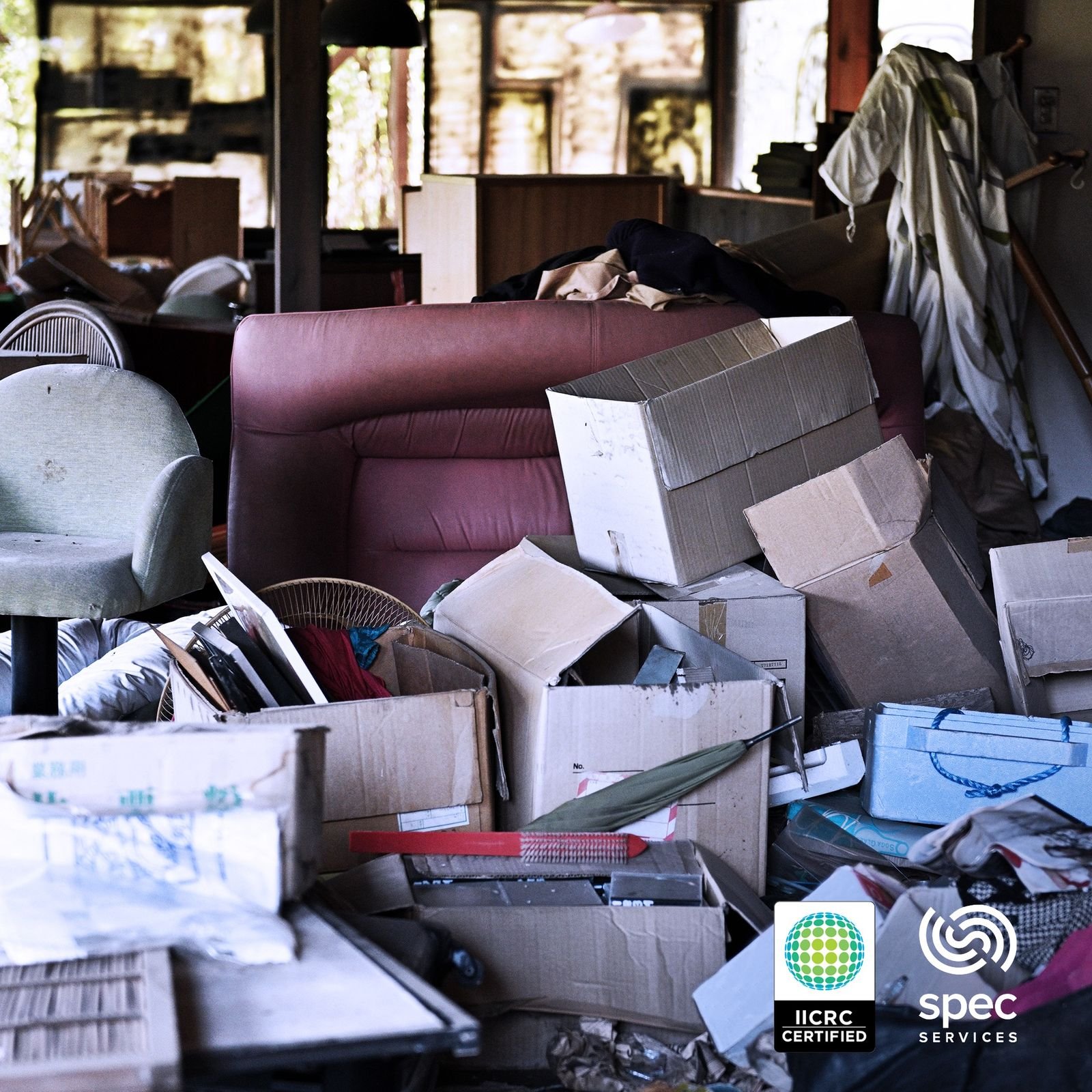 Cluttered and neglected living room requiring deceased estate cleanup
