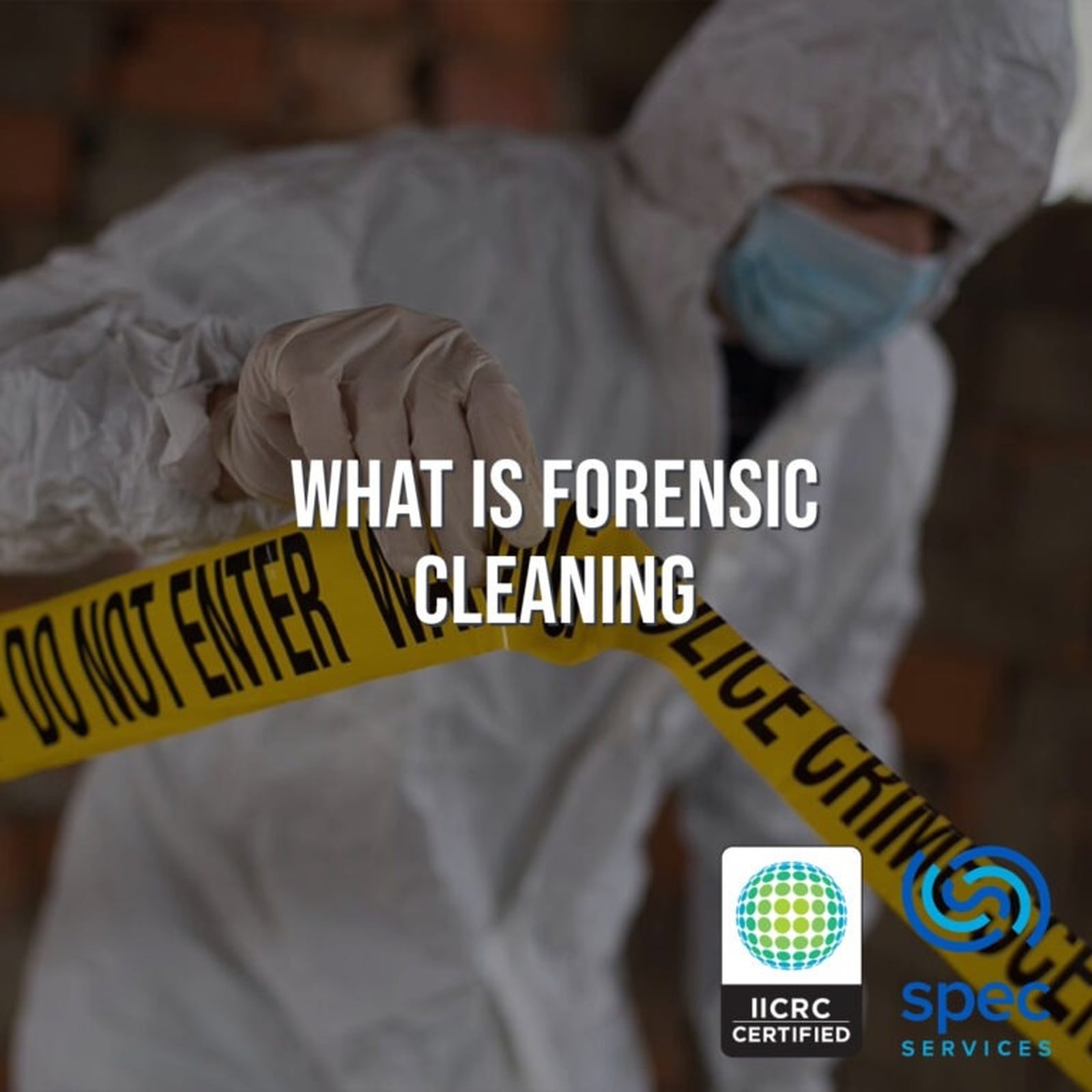 Forensic cleaning response in a Canberra property